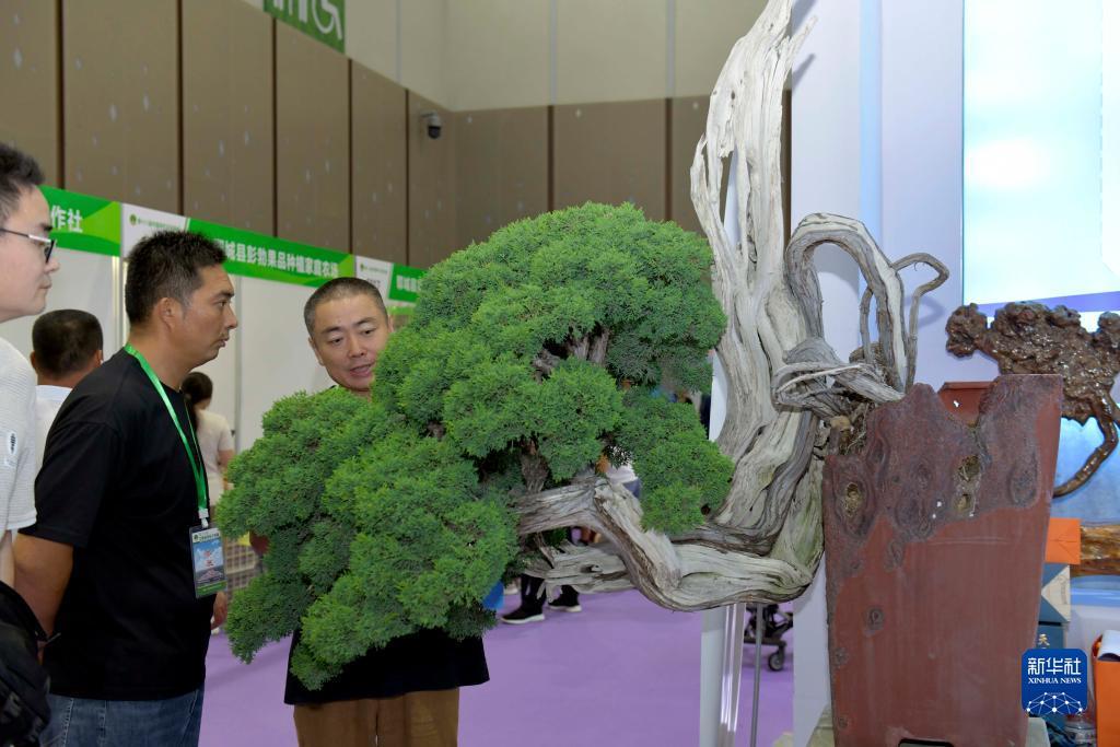 威尼斯在线娱乐游戏